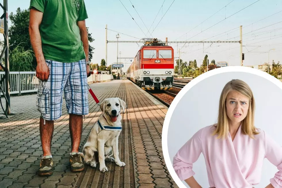 Woman Refuses to Give up Seat on Train for Stranger’s Dog: ‘What if It Started Barking and Misbehaving?’