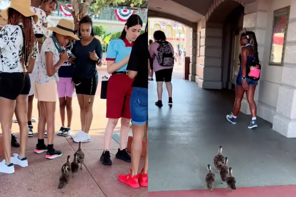 ‘Entitled Family’ Adorably Cuts the Line at Disney World in Viral Video: WATCH