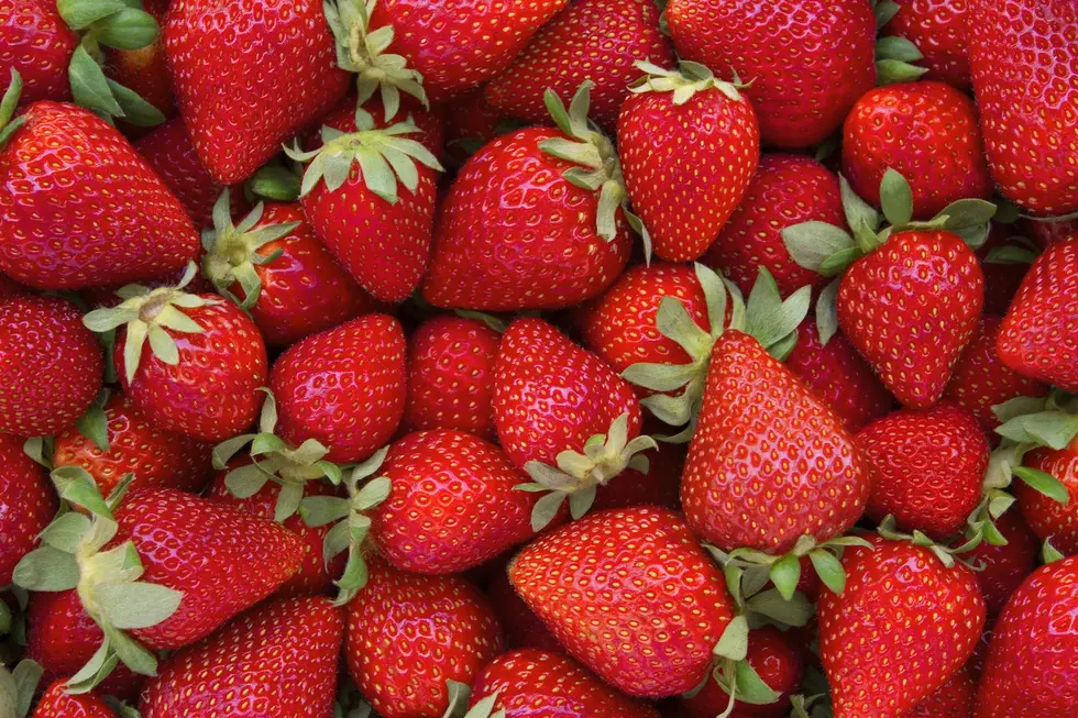 Icky Reason to Always Soak Your Strawberries in Salt Water Before Eating