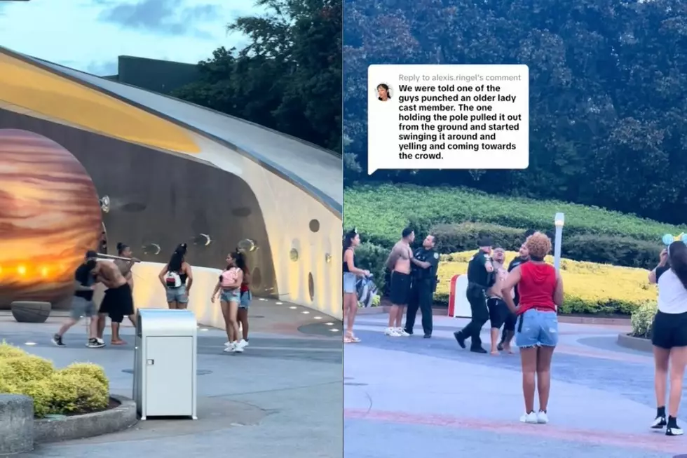 Shirtless Disney World Guests Arrested at EPCOT After Swinging Pole Around: REPORT