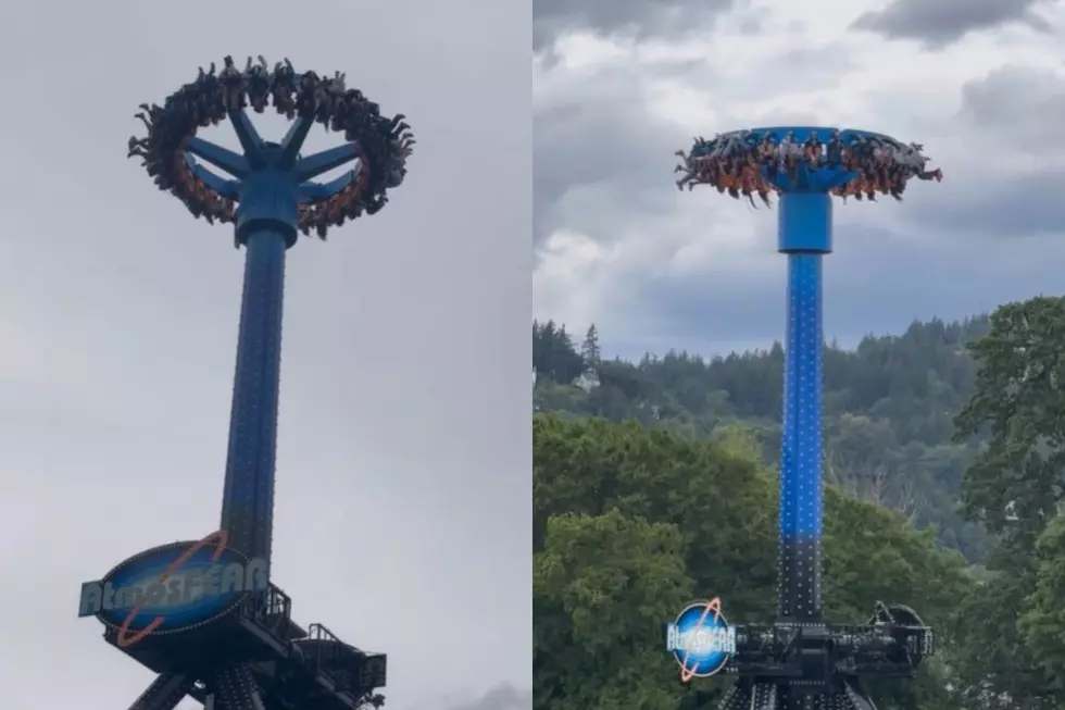 Theme Park Guests Stuck Upside Down For Nearly 30 Minutes: Watch