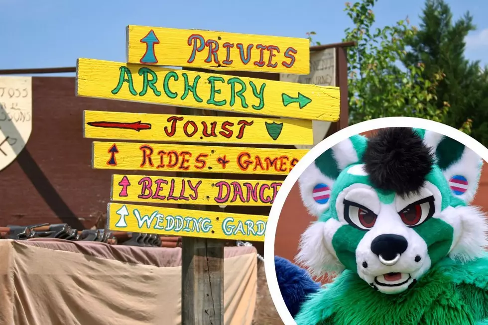 Woman Refuses to Take Younger Sister Who Wants to Wear Furry Suit to Renaissance Faire