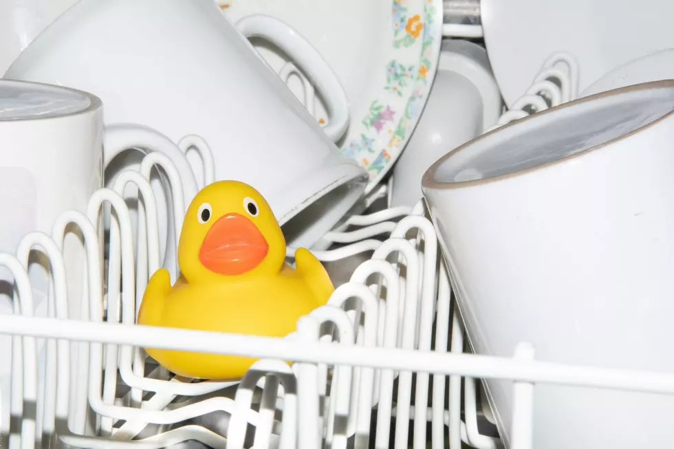 Yes, You Do Have to Actually Wash Your Dishwasher