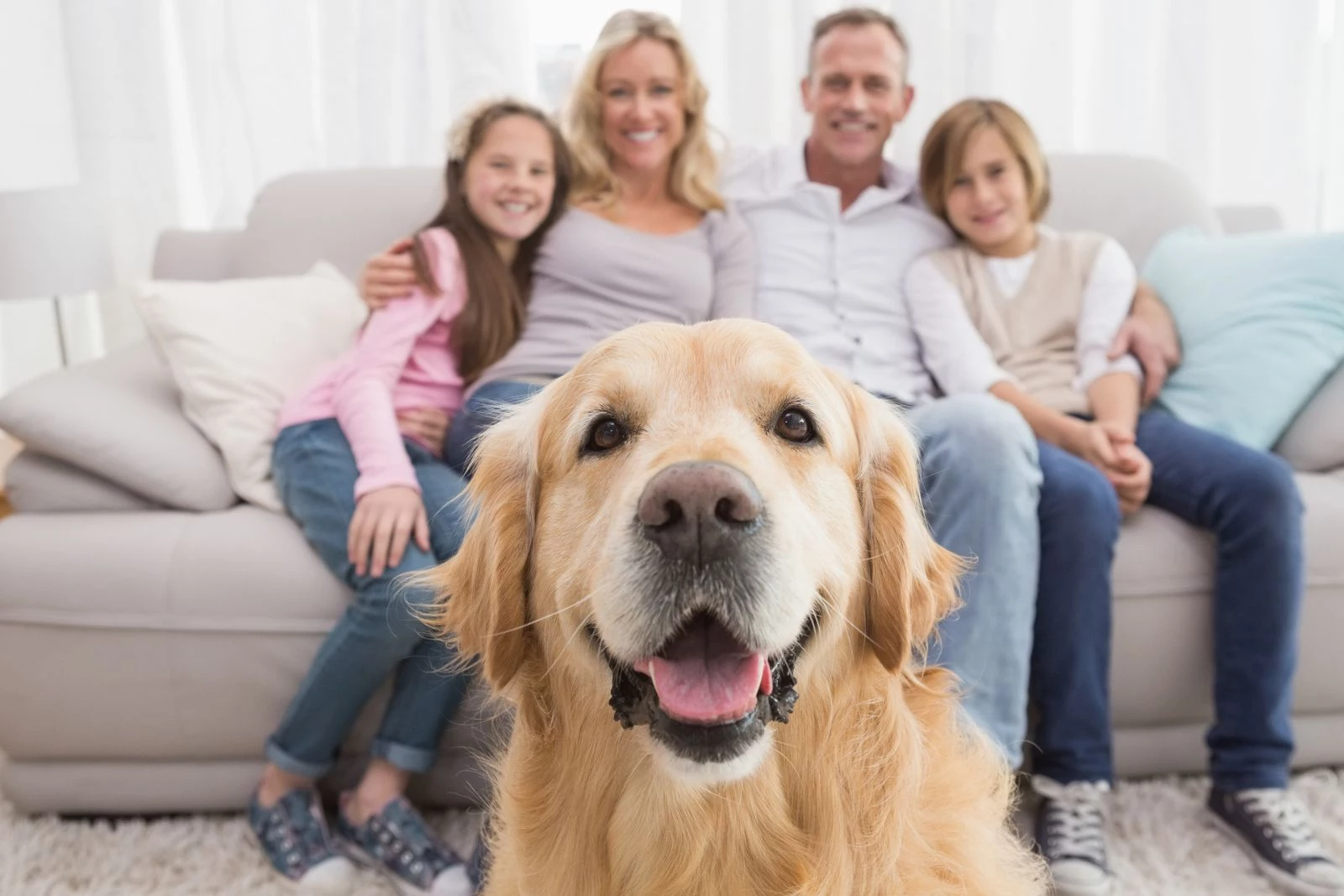 Only Six States Consider Dogs Legal Family Members Vs. Property