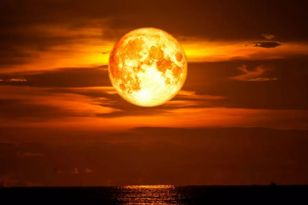 Witness a Rare, Out-of-This-World Lunar Trifecta Illuminate Our Sky