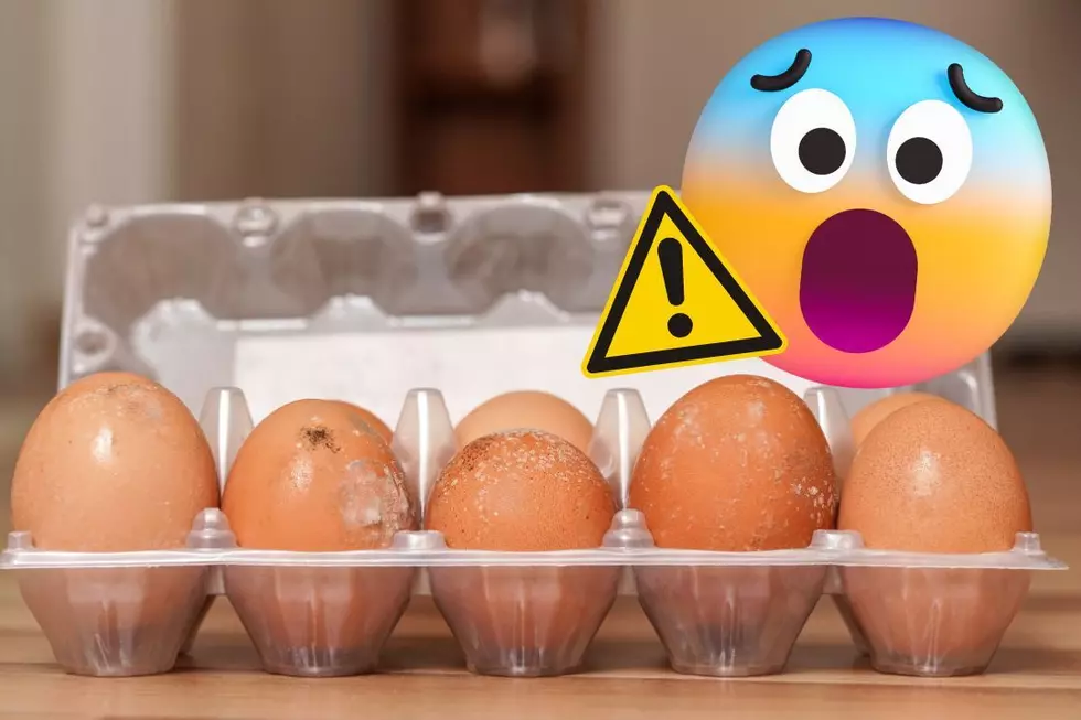 Salmonella Outbreak Alert! Is Your State Impacted by This Widespread Egg Recall?