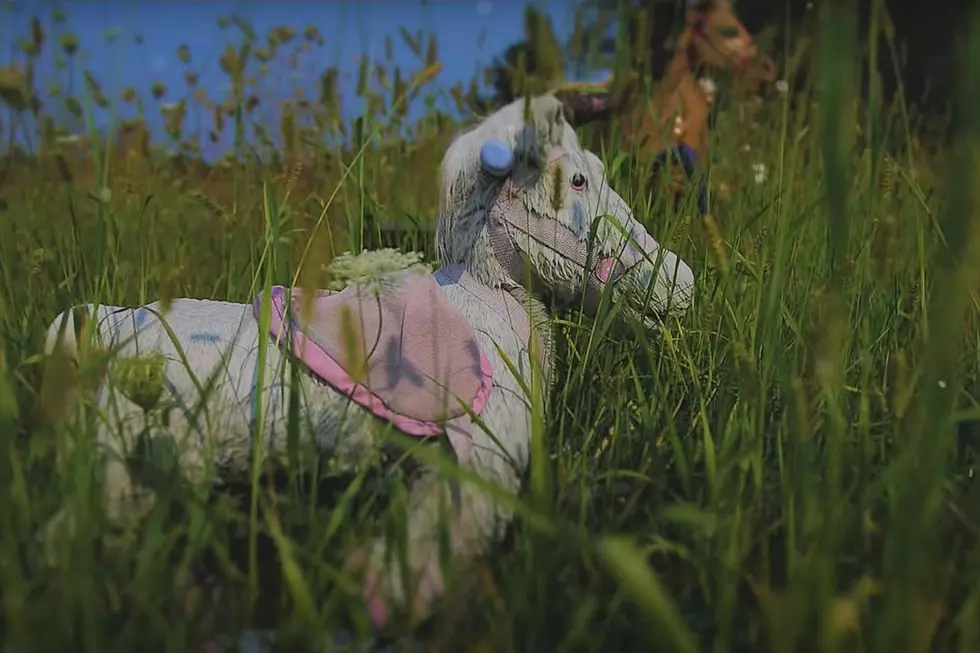 Haunting Mystery Behind This Bizarre Rocking Horse Graveyard