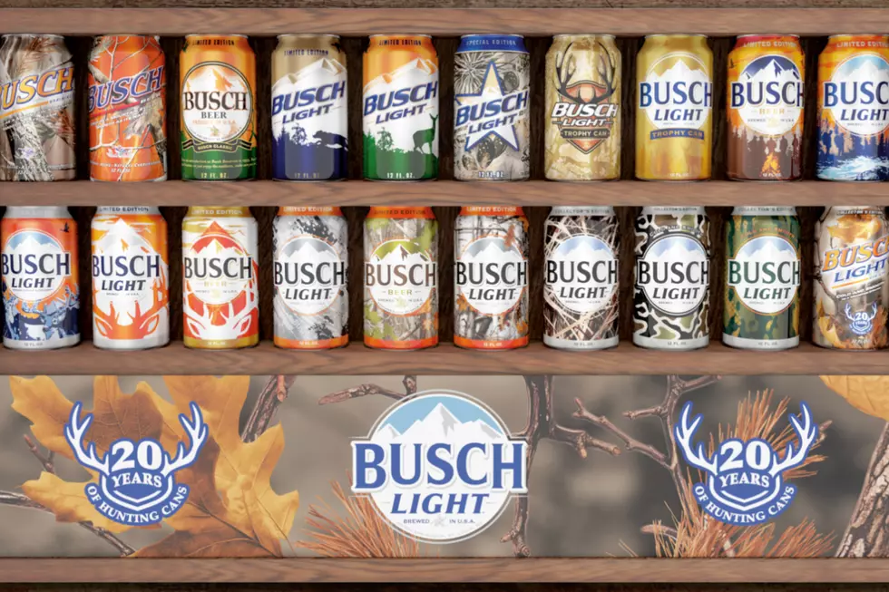 Busch Light