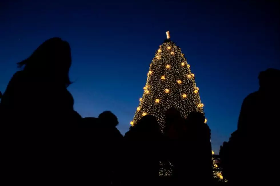 Lafayette Christmas Tree Lighting Set For November 23rd