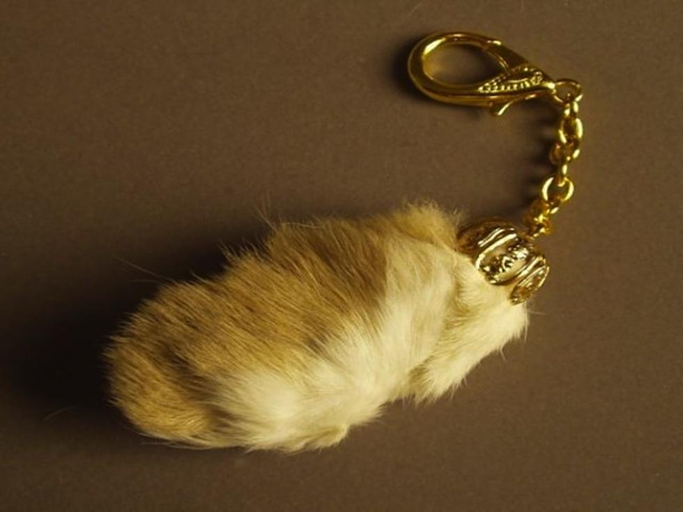 Why Do Some People Carry Around a Lucky Rabbit’s Foot?