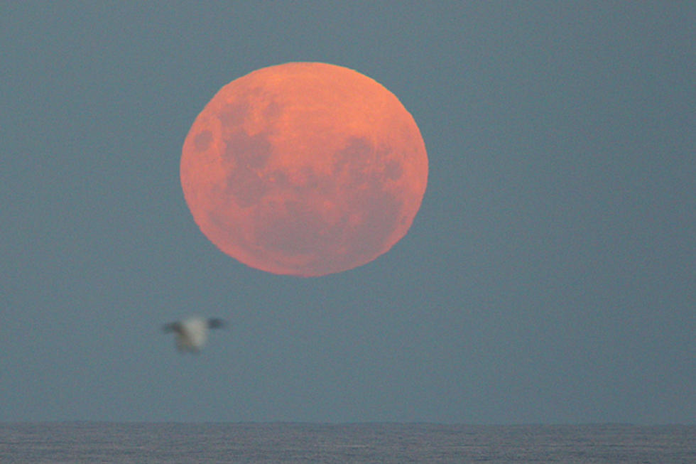 Super Moon 2012 – Check Out Pics From Around the World