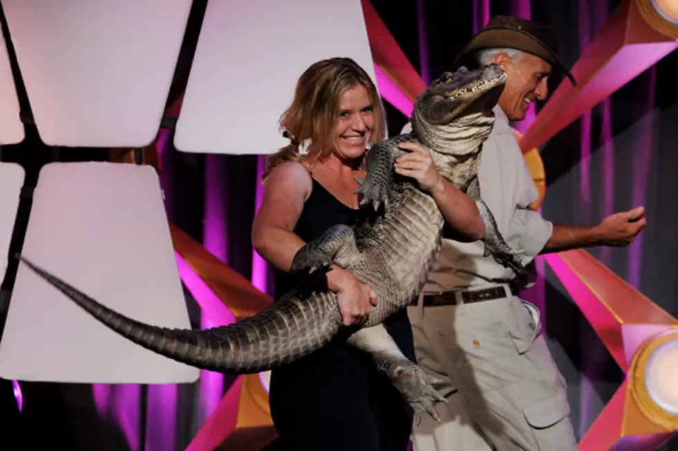 Jack Hanna’s Gator Tries to Eat a 2012 Daytime Emmy