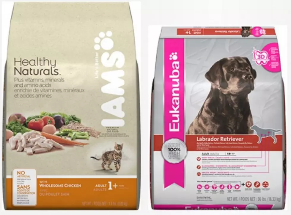 Recall Involves Eukanuba, IAMS Dog and Cat Food