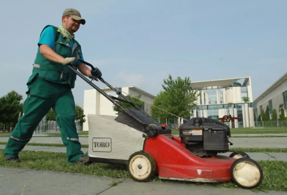Perfect Way To Mow The Lawn, You Have To See It To Believe It [VIDEO]