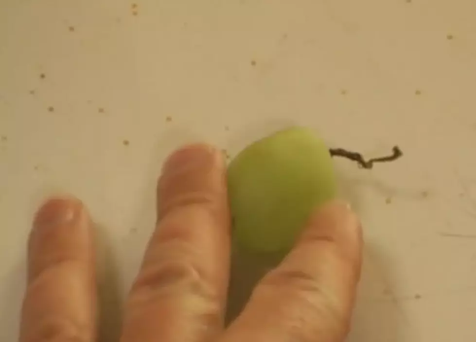 Want To See How Putting A Grape In A Microwave Can Burn Your House Down?  [NOTE LANGUAGE/VIDEO]