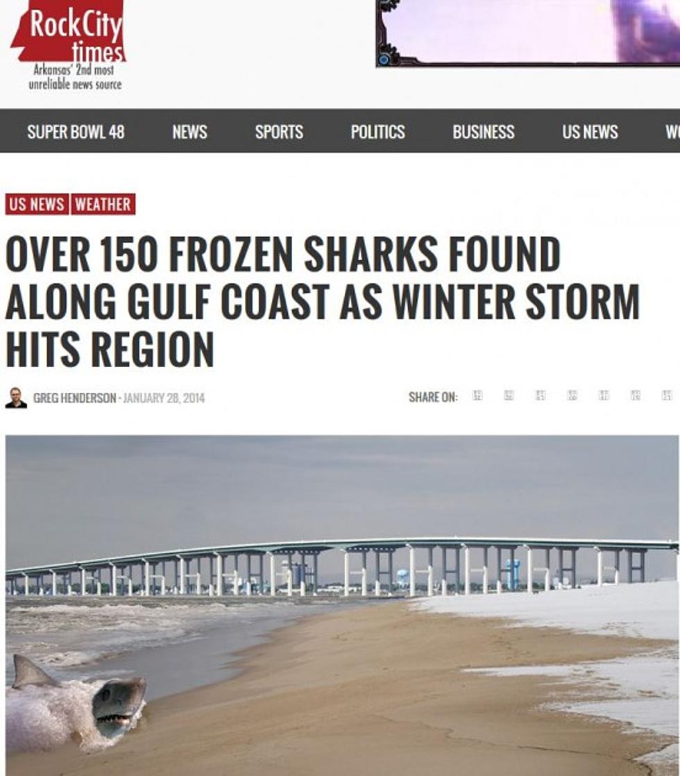Over 150 Frozen Sharks Found On Gulf Coast From Storm (Satire)