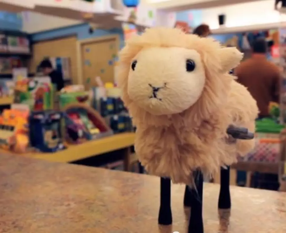 Toy Store&#8217;s Ad Goes Viral When &#8216;Little Lamby&#8217; Has an Adorable Adventure [VIDEO]