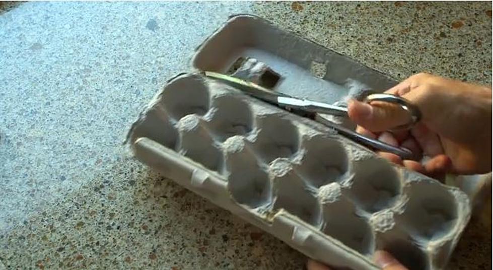 Don’t Throw Out Your Egg Cartons!