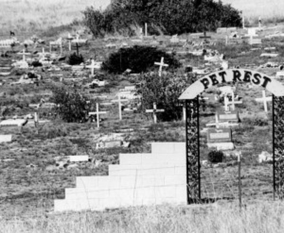 Pet Cemetery From Hell