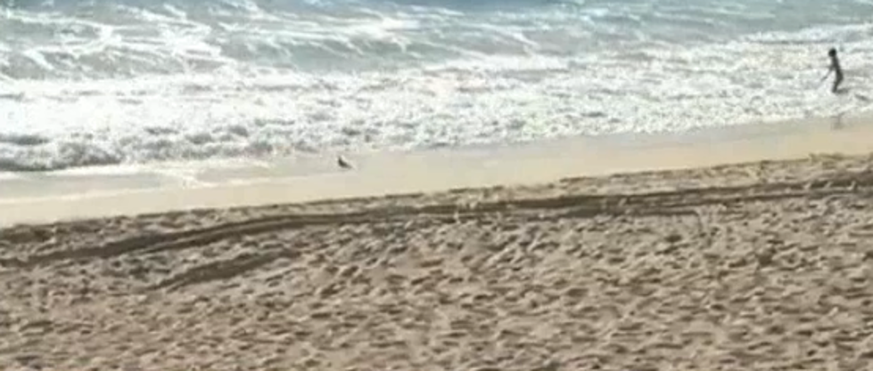 Man Digs Huge Hole On Beach, Dies When It Caves In