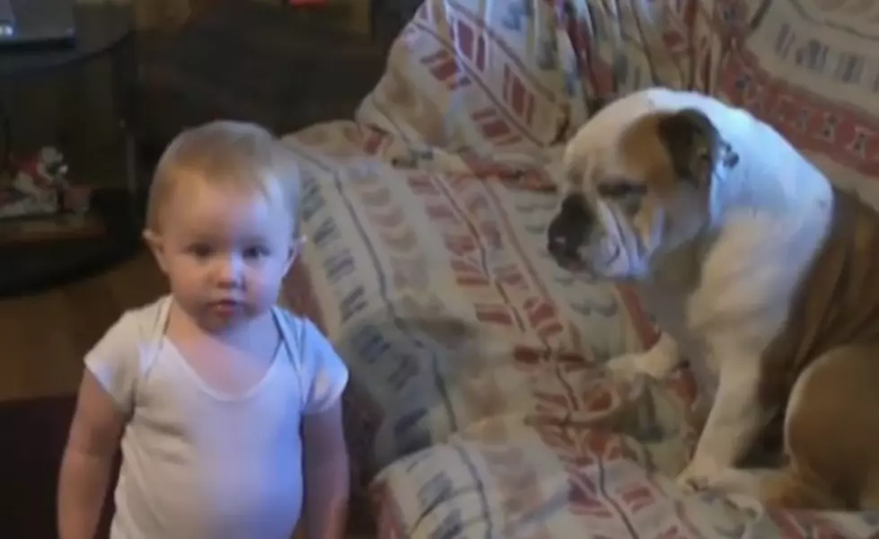 Baby Gives Family Dog An Earful [Video]