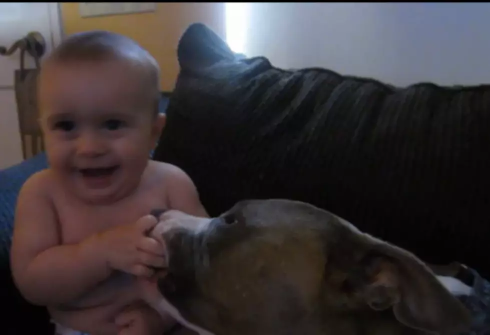 Need A Smile? Watch This Baby And Puppy [Video]