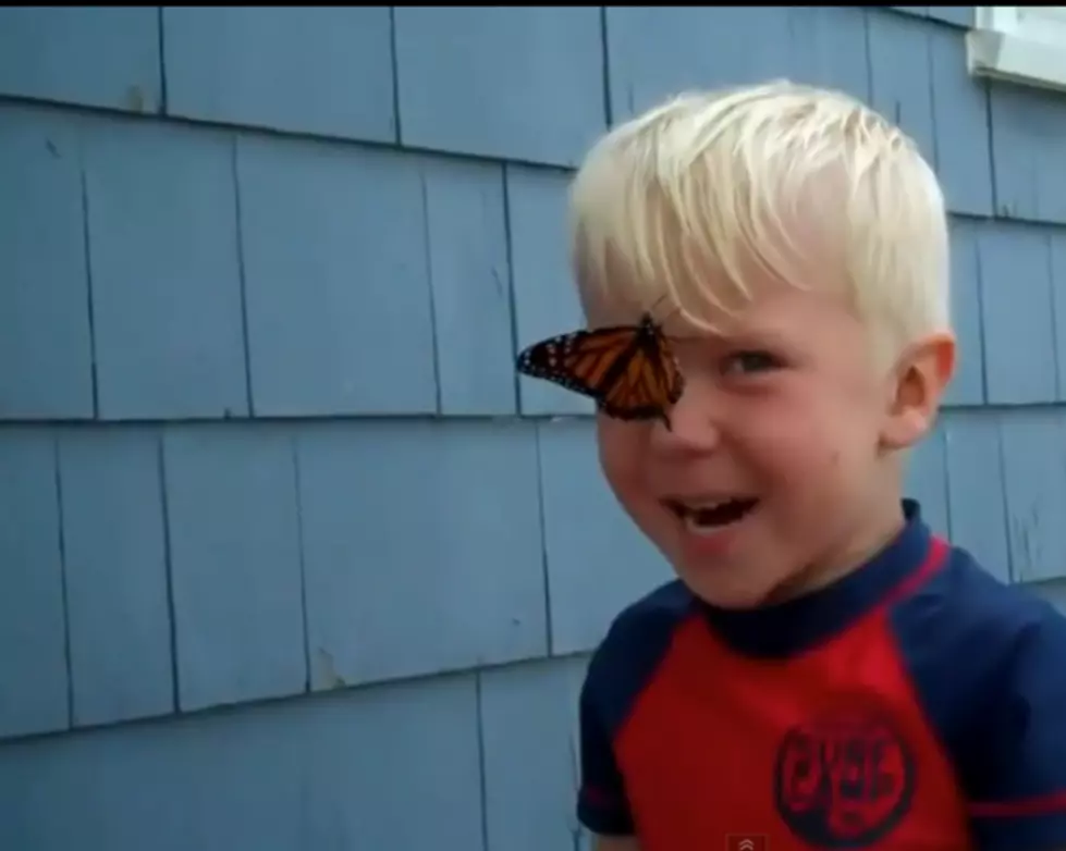 Boy Freaks, Then Giggles When Butterfly Lands On His Nose [Video]