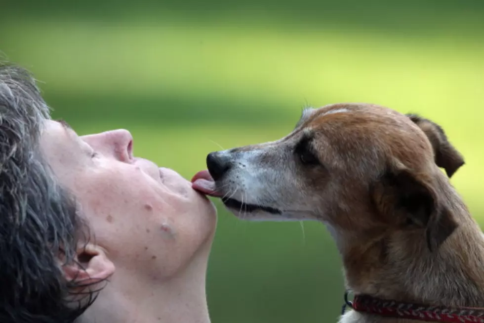 Letting Your Dog Lick Your Face May Help Your Allergies
