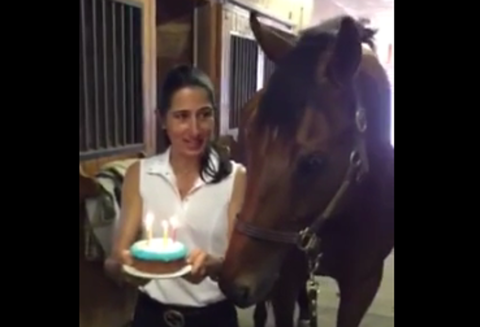 Horse Blows Out Candles On Birthday Cake [VIDEO]