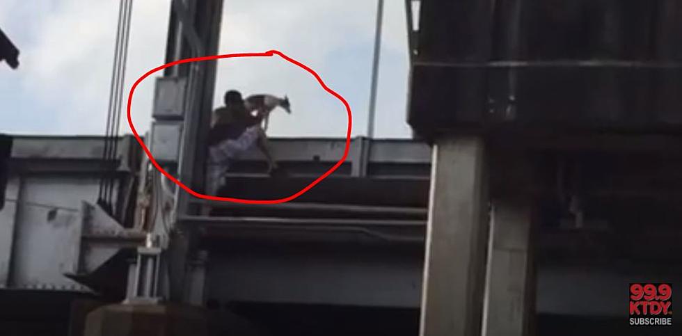 JayCee Rescues Dog From Vermilion River Bridge [VIDEO]