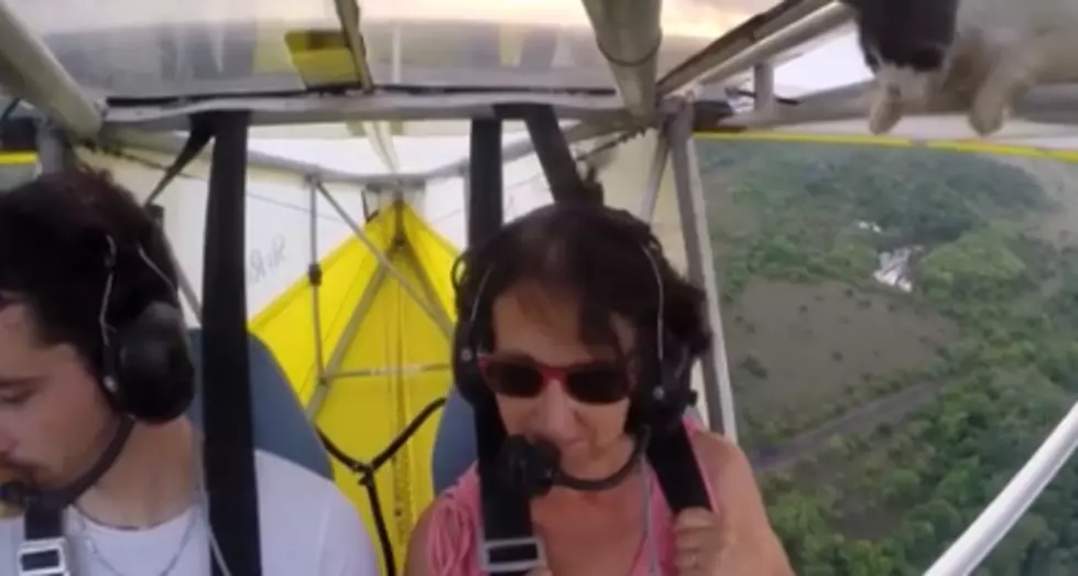 Pilot Takes Off In A Plane, Notices A Cat Hiding On The Wing, Watch What He Does [VIDEO]