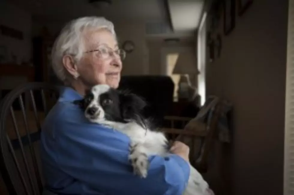Help Hospice Patients Care for Their Pets