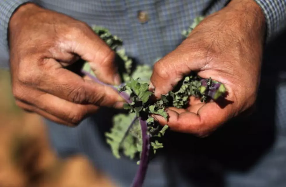 Nutritionists Say Eating Too Much Kale Is Actually Bad For Your Health