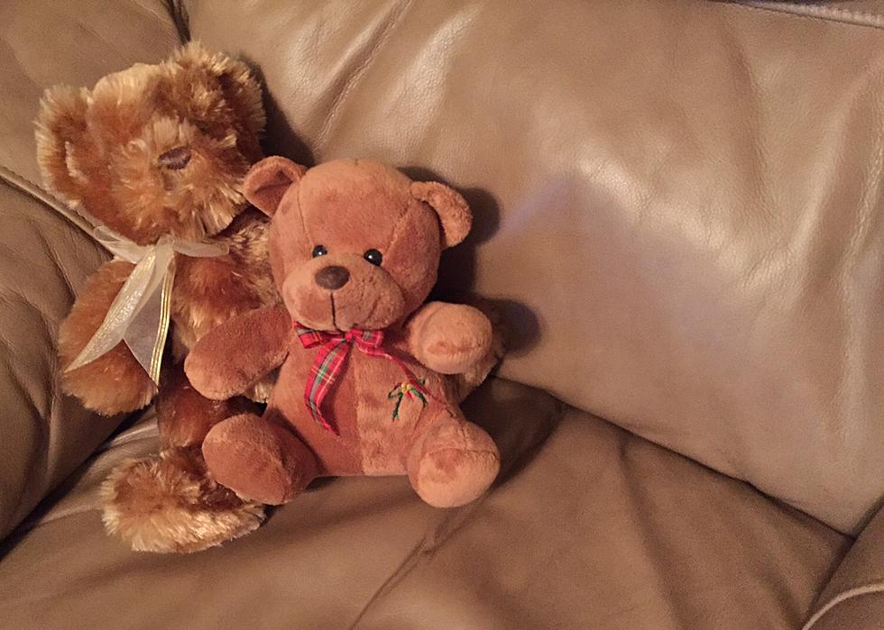 Kiwanis Club of Broussard-Youngsville is Hosting a Teddy Bear Drive