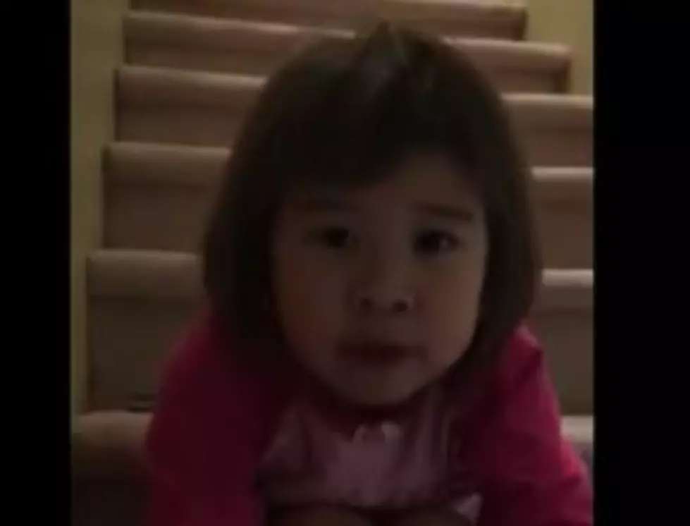6 – Year – Old With A Message To Her Divorced Parents [VIDEO]