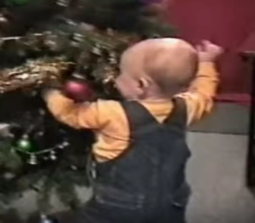 Attack Of The Killer Christmas Trees [VIDEO]