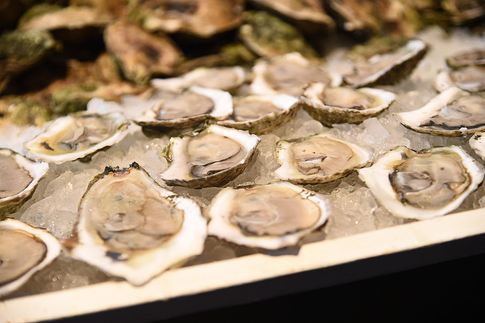 Louisiana Oyster Harvest Reopened