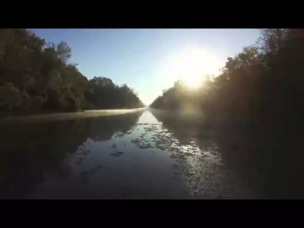 Louisiana’s Beautiful Atchafalaya Swamp [Drone VIDEO]