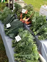 Mid Week Markets Launch Wednesday, April 27 At The Horse Farm