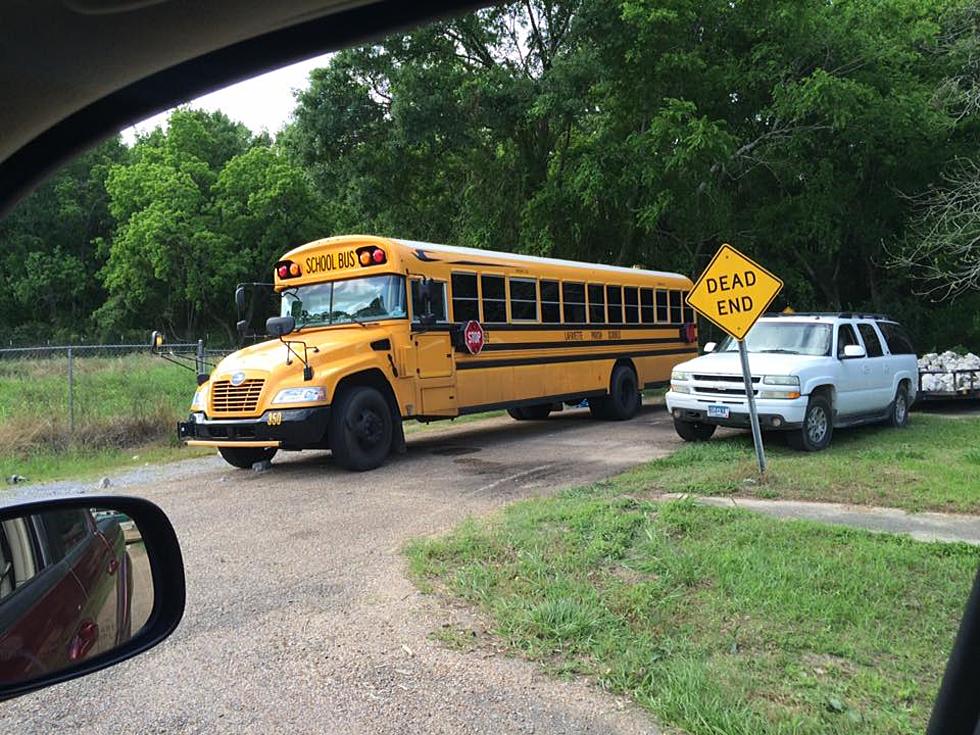 Yet Another Update To The Lafayette Parish School Bus Driver Curses Neighbor Story [CAUTION: NSFW LANGUAGE]