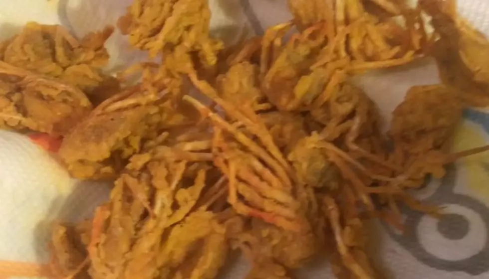 Would You Eat These Fried Shrimp &#8216;Parts&#8217;?  JayCee Did
