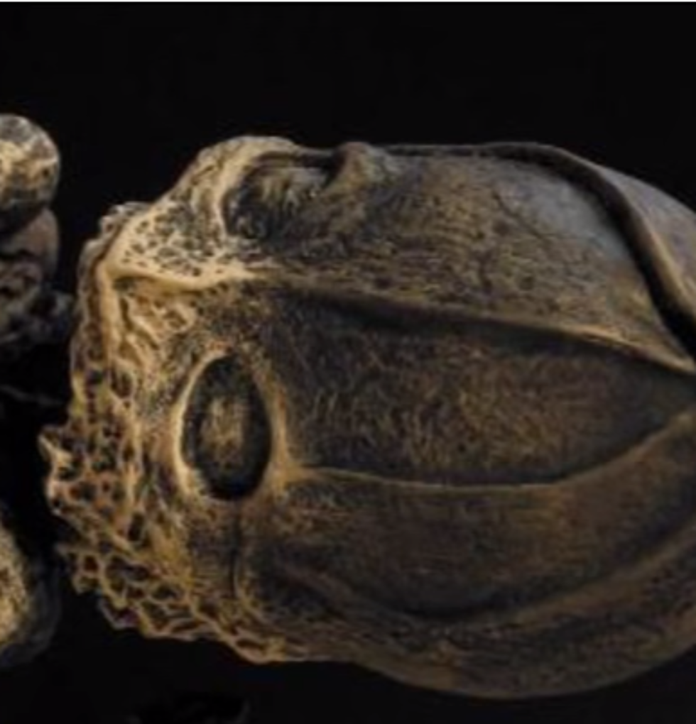 Are These The Mummified Remains Of An Alien?