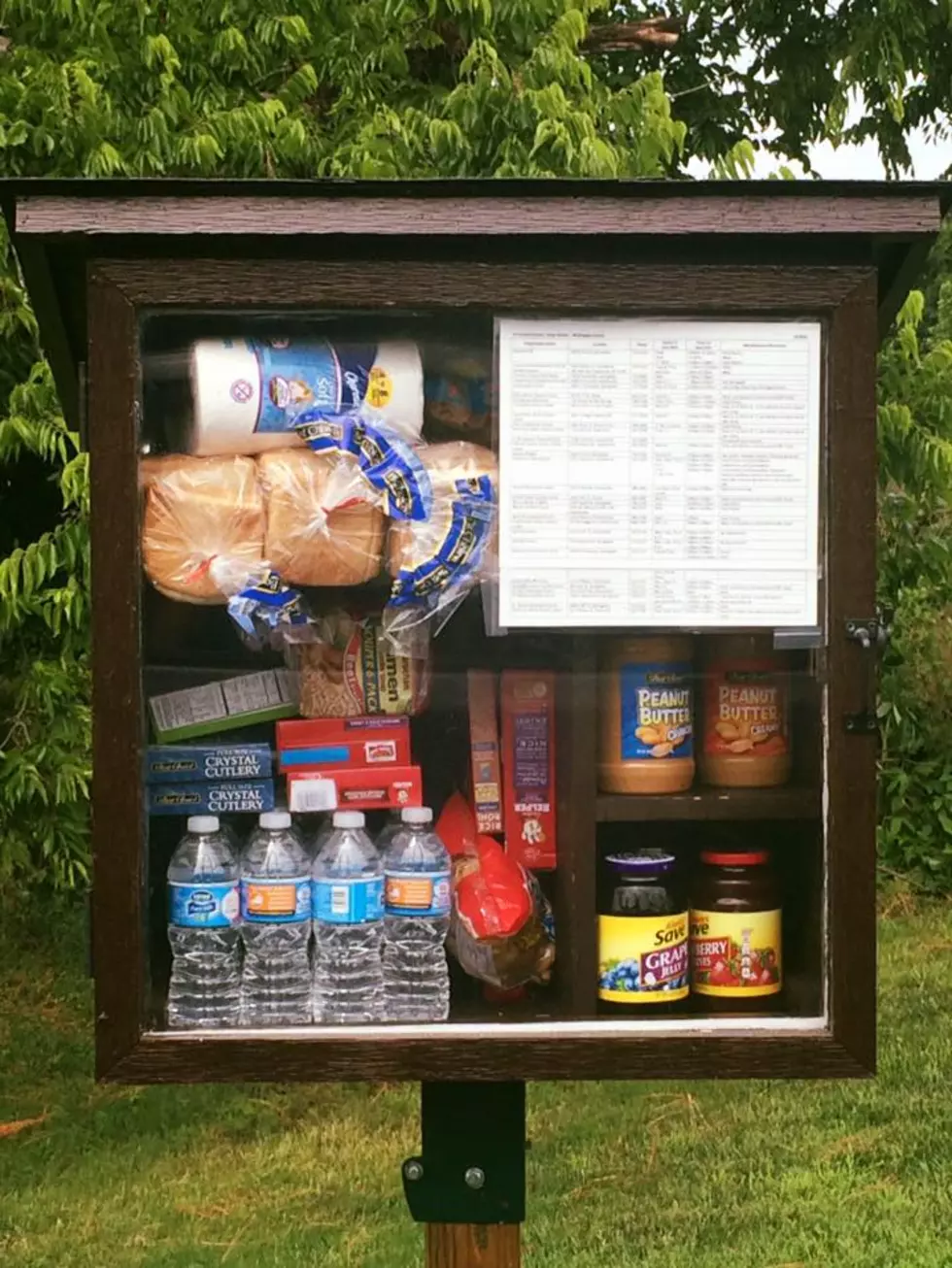 ‘Little Free Pantries’ Help Those In Need