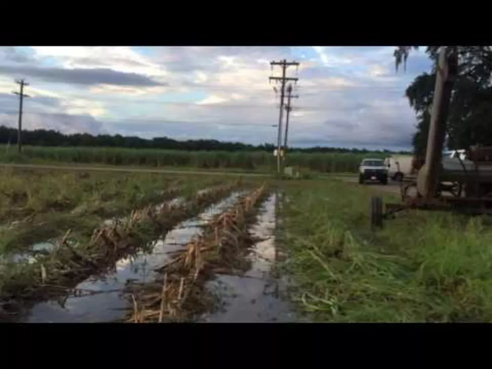 Airboat Delivers Crew To Highway In Floodwaters