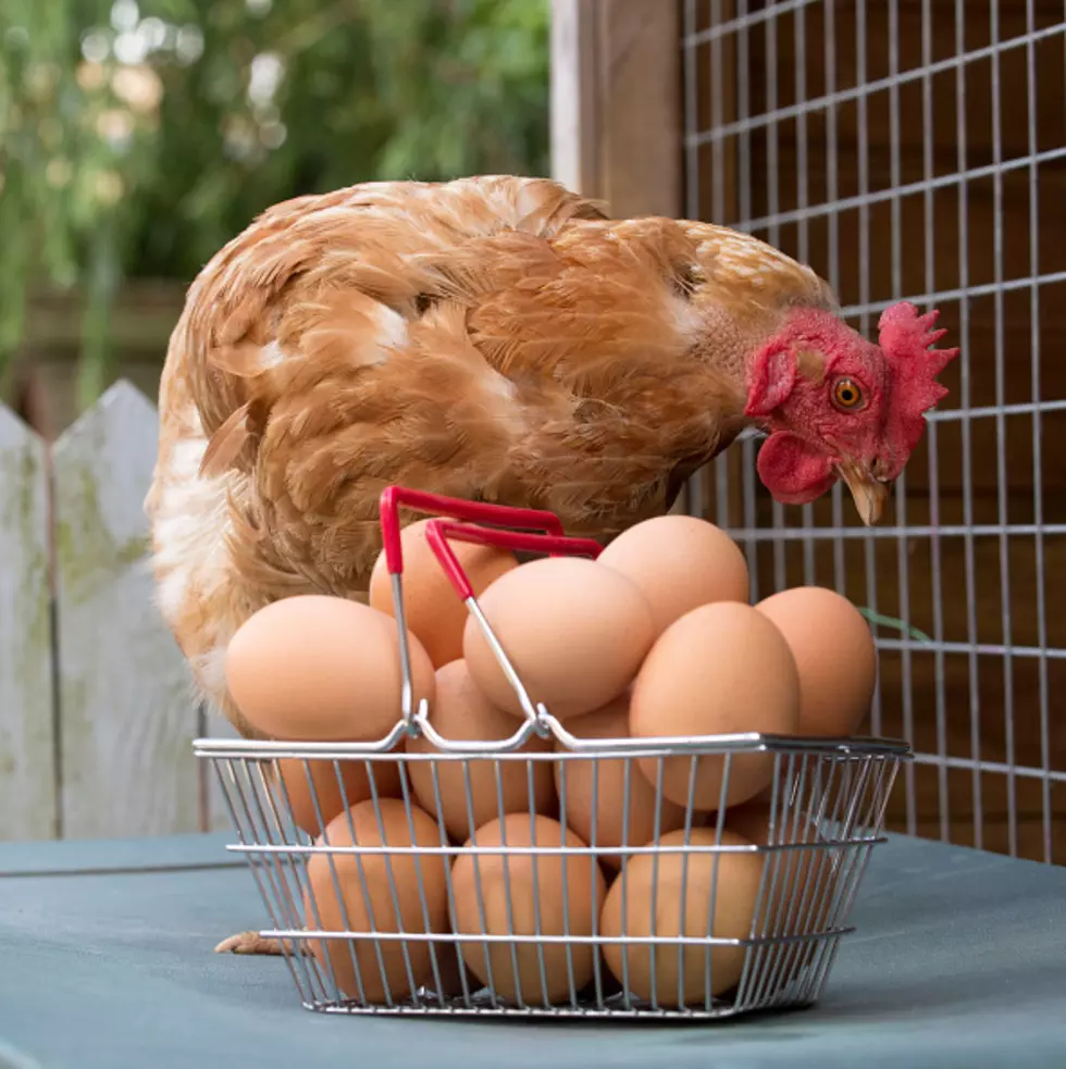 Do You Really Have To Refrigerate Eggs?