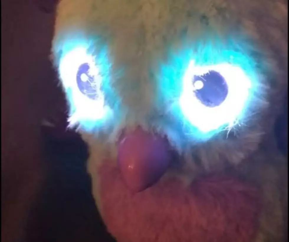 Are Hatchimals Cursing Out Their Owners? [NSFW VIDEO]
