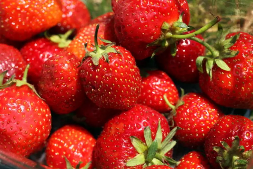 Are Tiny Maggots Living Inside Strawberries?