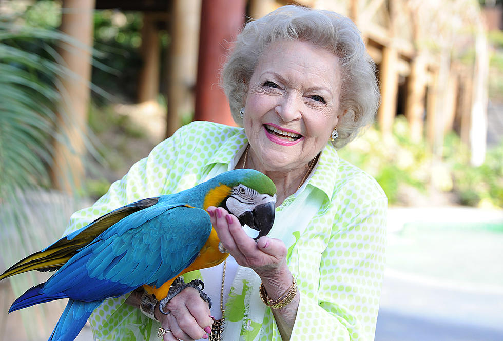 The Story Behind Betty White Paying for a Private Jet for the Audubon Aquarium of the Americas