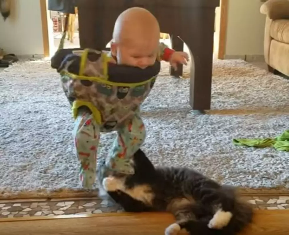 Evil Cat Softens Baby Up For Attack [VIDEO]