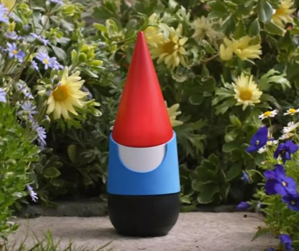 Upgrade Your Backyard With The Google Gnome [VIDEO]